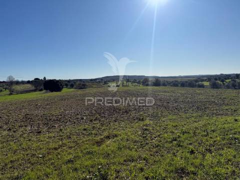 Oportunidade única no ribatejo armazém agrícola para restaurar | ~3 hectares | ponte nova – casével – santarém