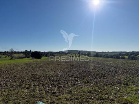 Oportunidade única no ribatejo armazém agrícola para restaurar | ~3 hectares | ponte nova – casével – santarém