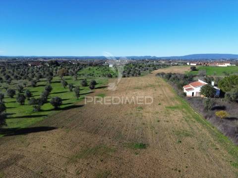 Oportunidade única no ribatejo armazém agrícola para restaurar | ~3 hectares | ponte nova – casével – santarém
