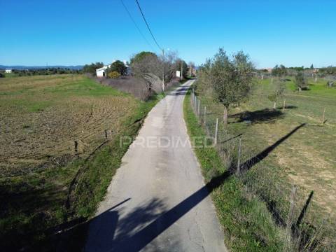 Oportunidade única no ribatejo armazém agrícola para restaurar | ~3 hectares | ponte nova – casével – santarém