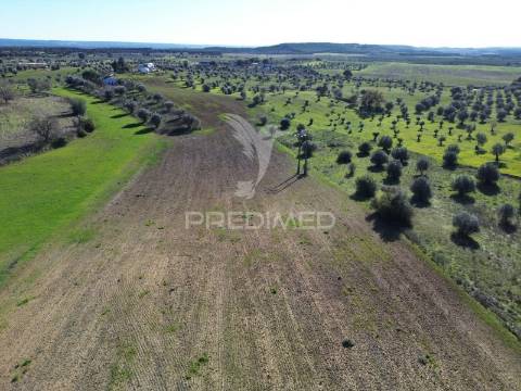 Oportunidade única no ribatejo armazém agrícola para restaurar | ~3 hectares | ponte nova – casével – santarém