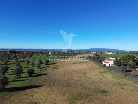 Oportunidade única no ribatejo armazém agrícola para restaurar | ~3 hectares | ponte nova – casével – santarém