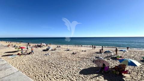 T1 sesimbra