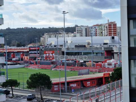 T3 benfica