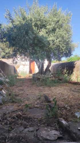 Casa de aldeia