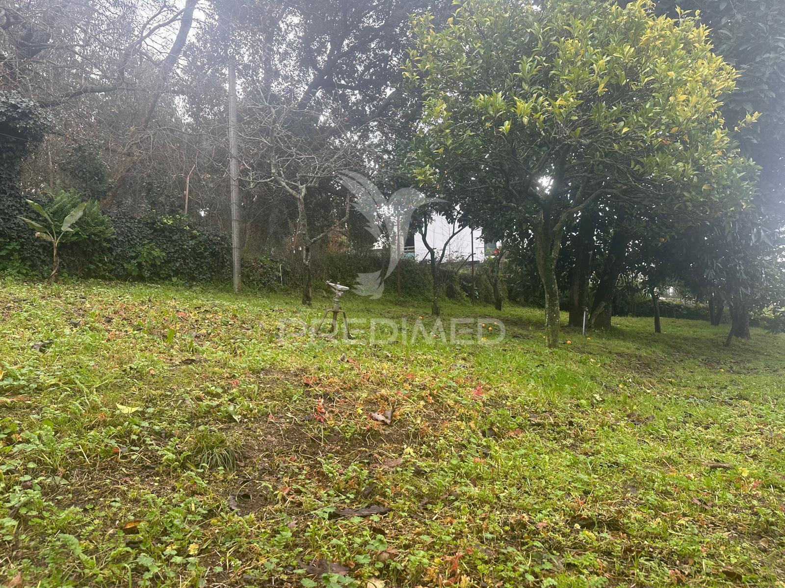 Terreno urbano para construção – lomar, braga  ?!