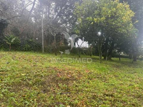 Terreno urbano para construção – lomar, braga  ?!