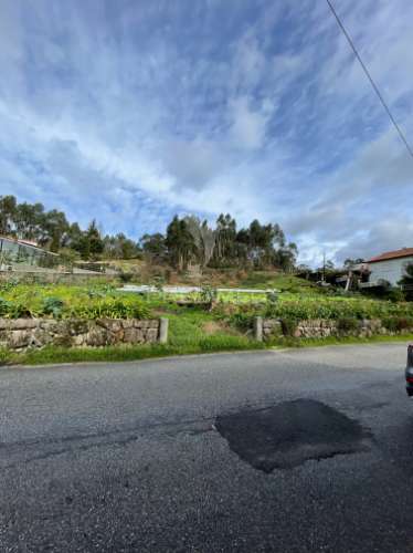 Terreno 5.000 m² com potencial de construção | boim – lousada