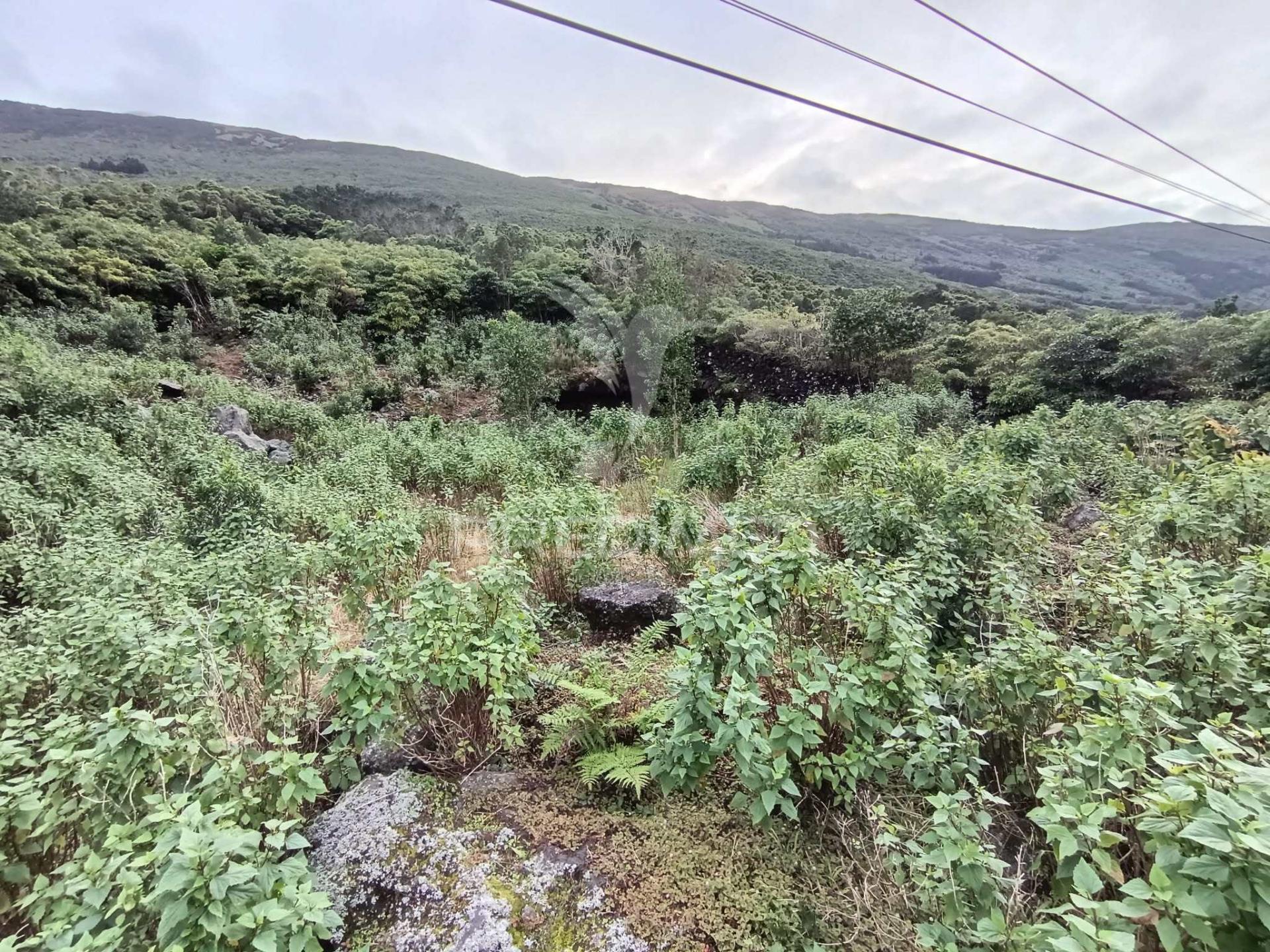 Terreno, para venda, em santo amaro, são roque do pico