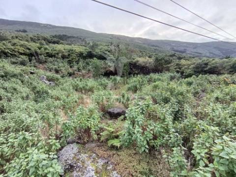 Terreno, para venda, em santo amaro, são roque do pico