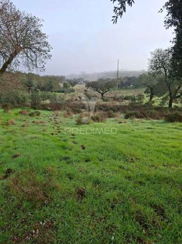 Terreno rústico com 4,1 hectares no rosário - alandroal