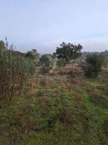 Terreno rústico com 4,1 hectares no rosário - alandroal