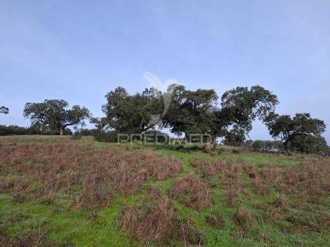 Terreno rústico com 4,1 hectares no rosário - alandroal