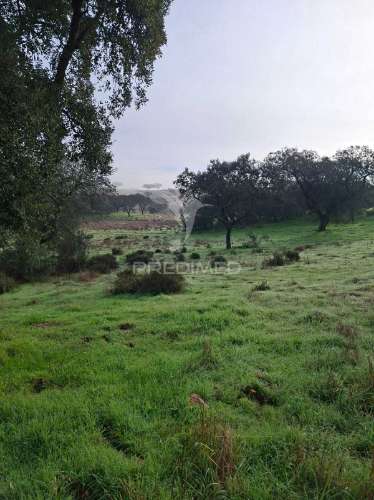 Terreno rústico com 4,1 hectares no rosário - alandroal