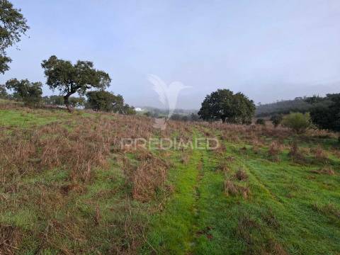 Terreno rústico com 4,1 hectares no rosário - alandroal
