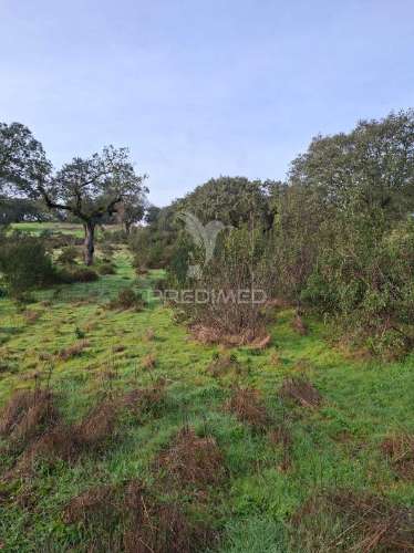 Terreno rústico com 4,1 hectares no rosário - alandroal