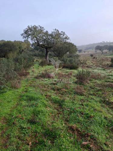 Terreno rústico com 4,1 hectares no rosário - alandroal