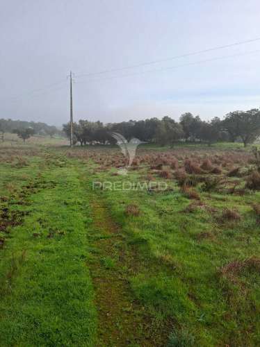 Terreno rústico com 4,1 hectares no rosário - alandroal