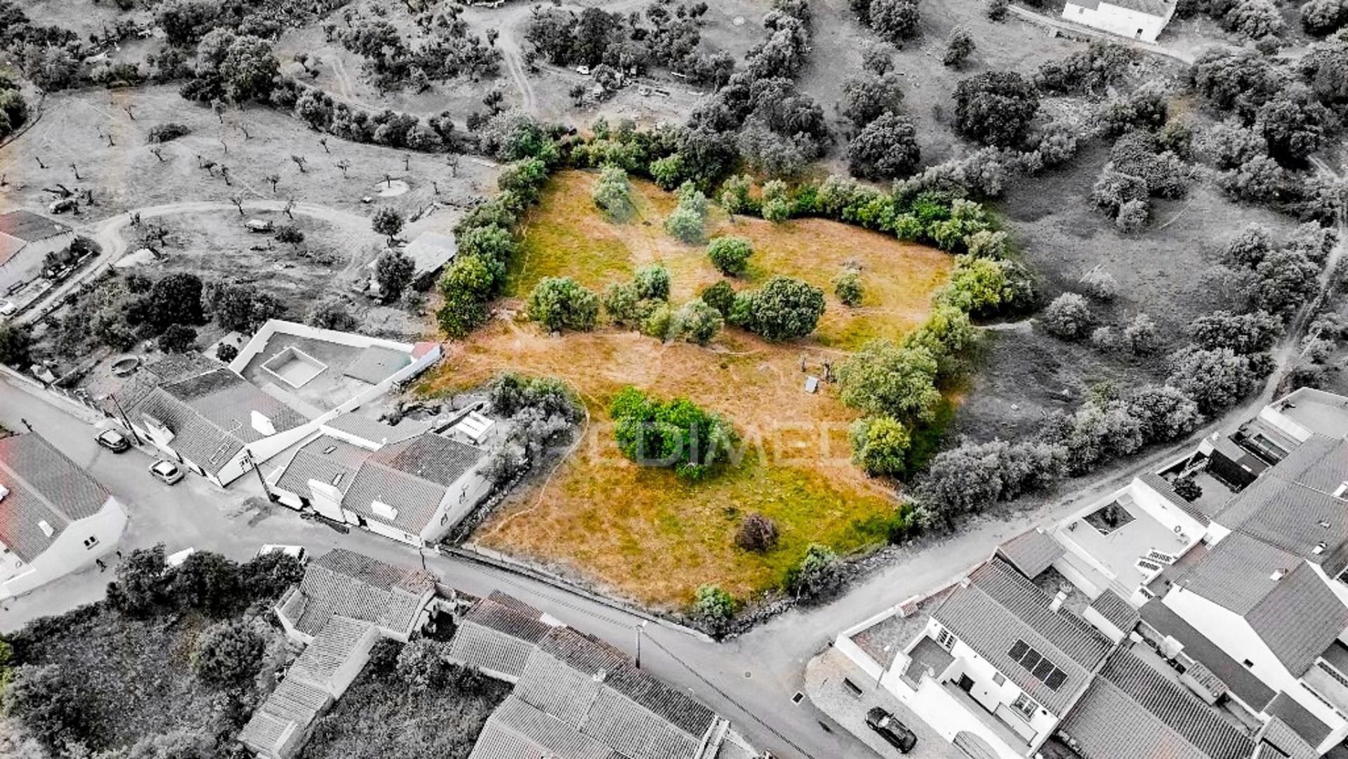 Terreno- arraiolos, são pedro da gafanhoeira