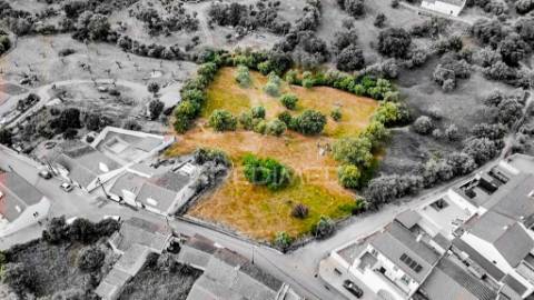 Terreno- arraiolos, são pedro da gafanhoeira