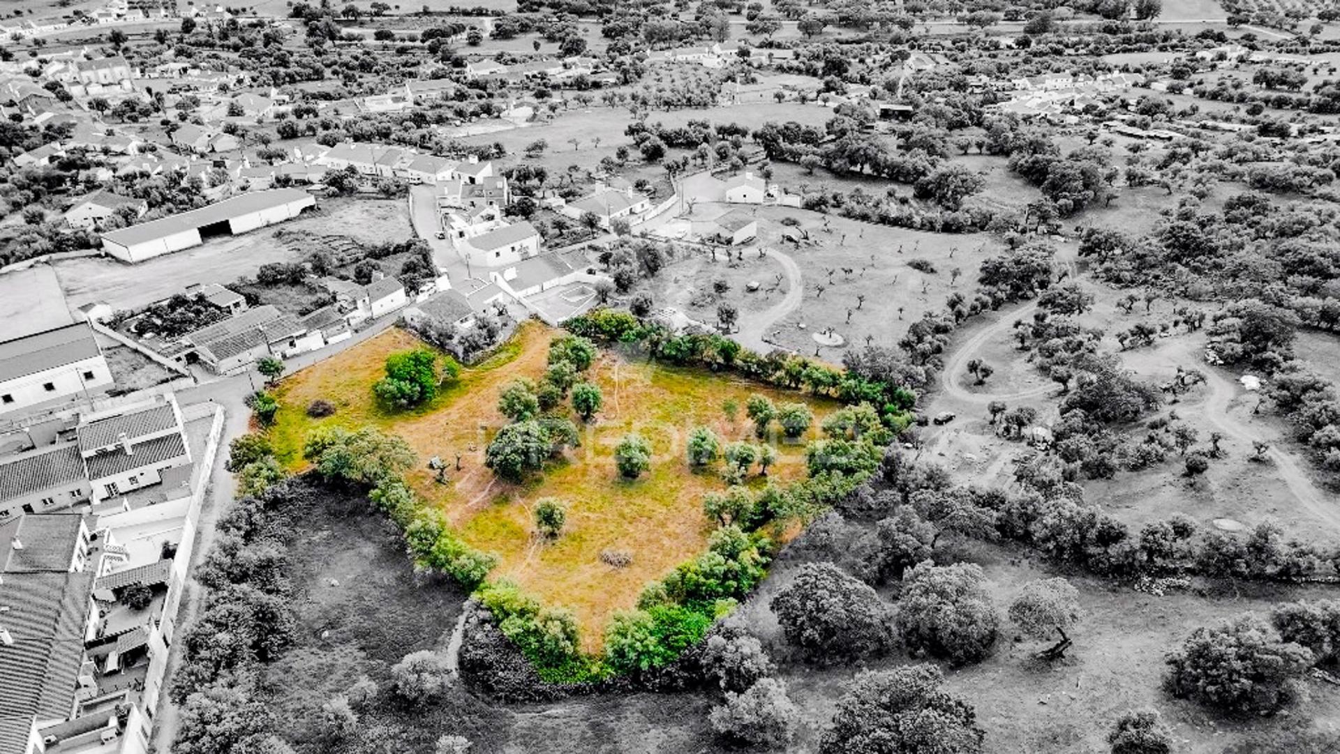Terreno- arraiolos, são pedro da gafanhoeira