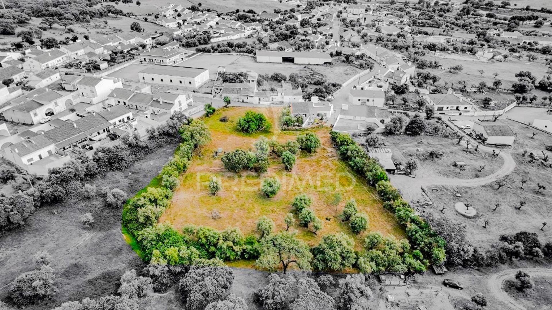 Terreno- arraiolos, são pedro da gafanhoeira