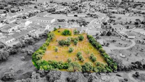 Terreno- arraiolos, são pedro da gafanhoeira