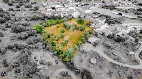 Terreno- arraiolos, são pedro da gafanhoeira