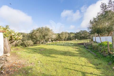 Terreno- arraiolos, são pedro da gafanhoeira