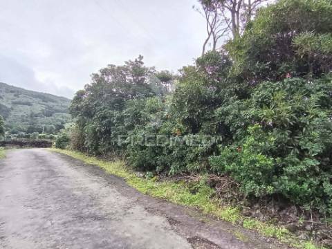 Terreno agrícola, para venda, na prainha, são roque do pico