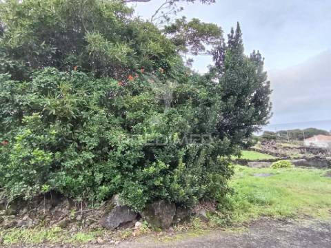 Terreno agrícola, para venda, na prainha, são roque do pico