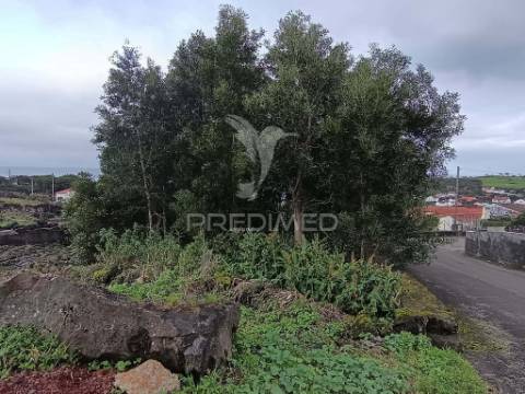Terreno agrícola, para venda, na prainha, são roque do pico
