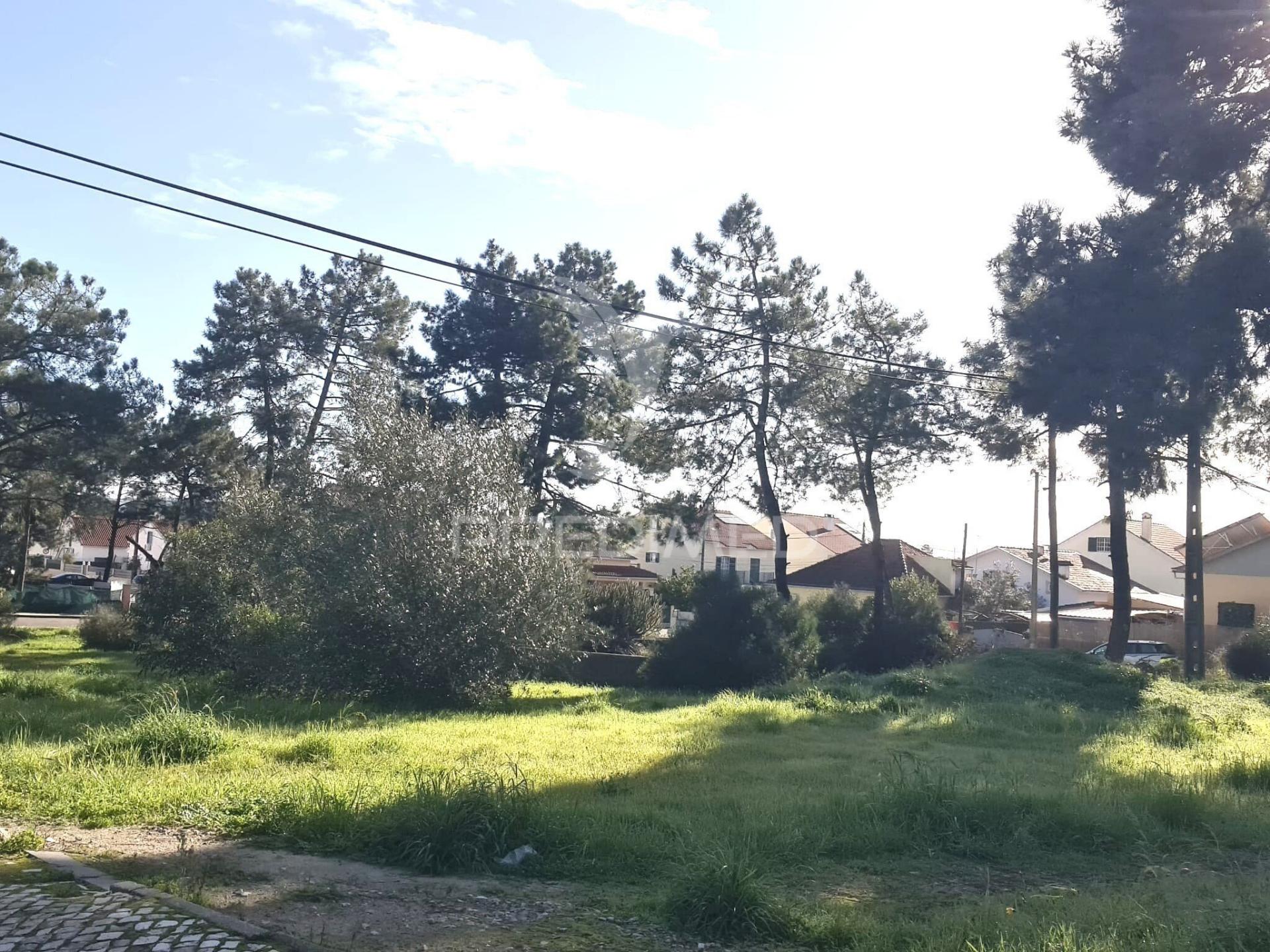 2 lotes terrenos urbanos
