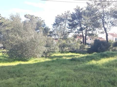 2 lotes terrenos urbanos