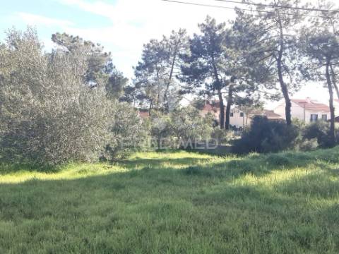 2 lotes terrenos urbanos