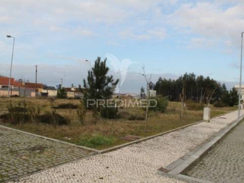Terreno para construção ovar