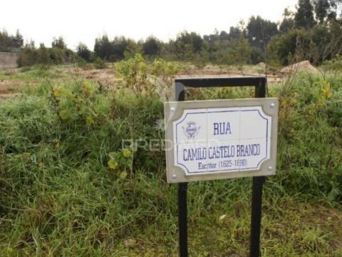 Terreno para construção ovar