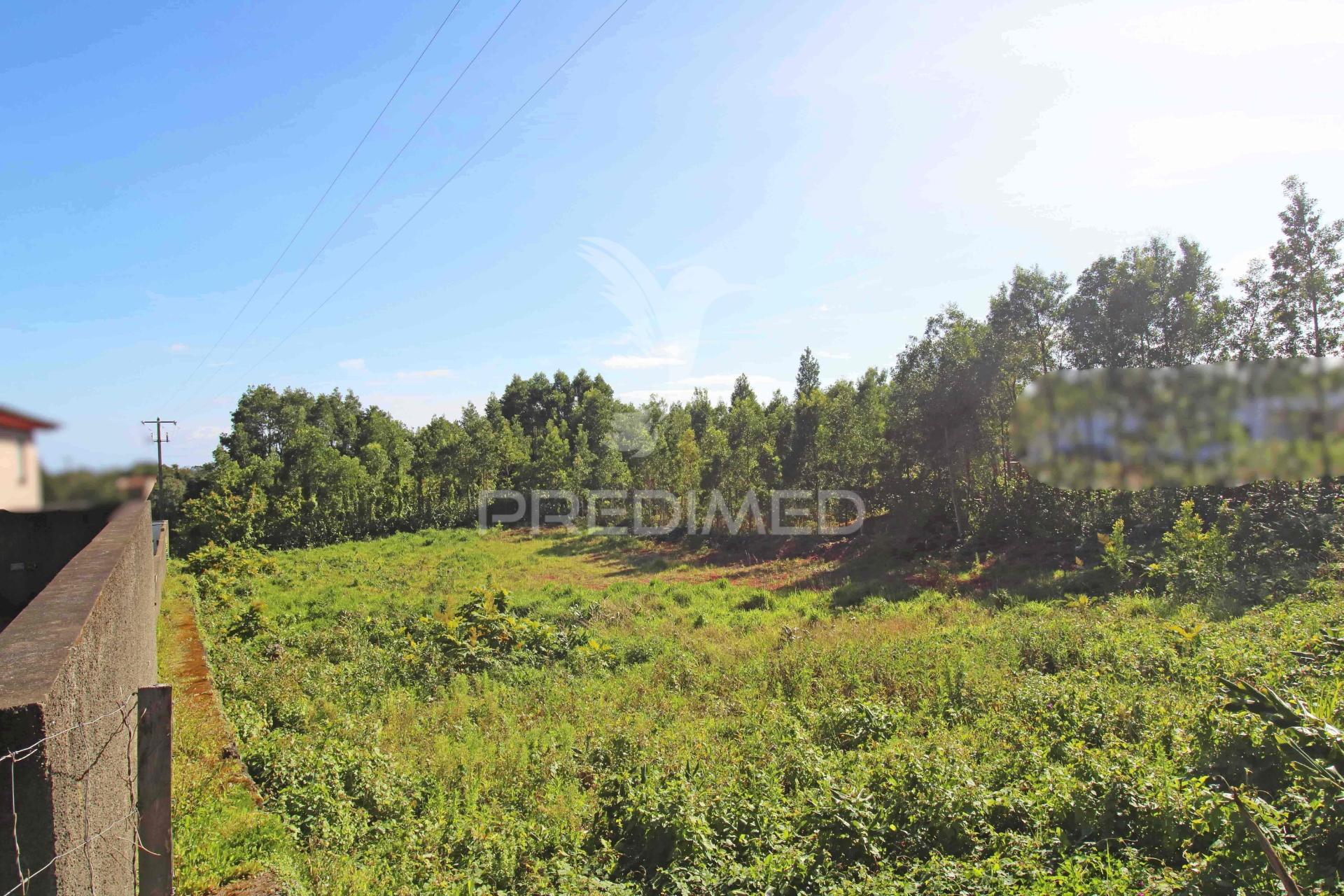 Terreno urbano na freguesia da terra-chã – 1.000 m²