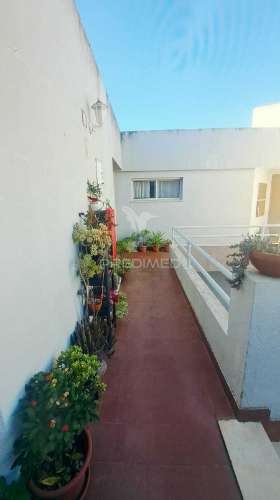Apartamento t3 em paderne - pronto a habitar