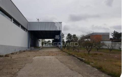 Edifício industrial à venda – zona industrial de muge