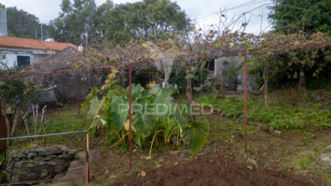 Terreno para construção no caniço