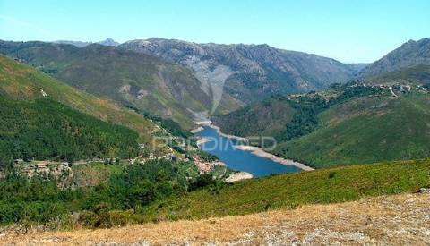 Moradia isolada em braga  ***com licença para turismo rural