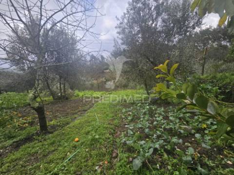 Moradia reservada