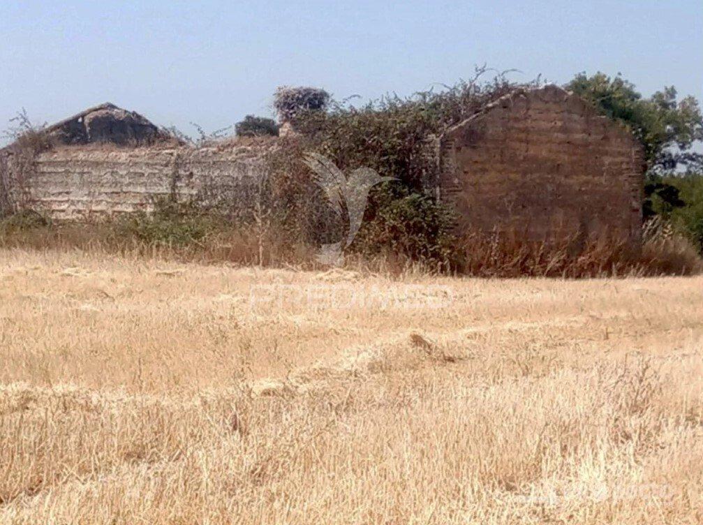 Herdade alfundão