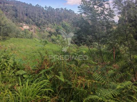 Terreno rústico com capacidade construtiva – 1.740 m² | ribeira de machico