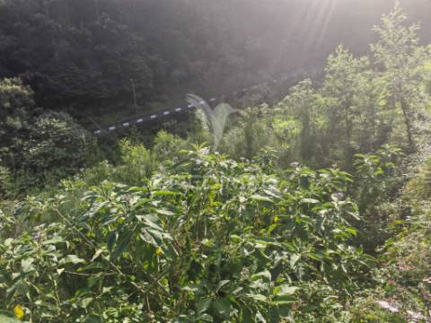 Terreno rústico com capacidade construtiva – 1.740 m² | ribeira de machico