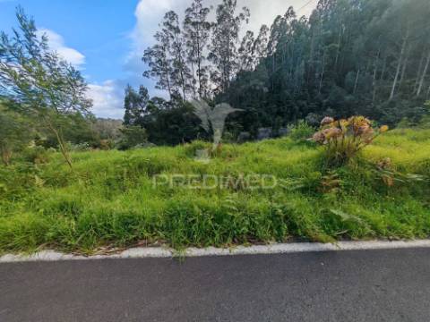Terreno com 5.970 m² com potencial construtivo | ribeira de machico