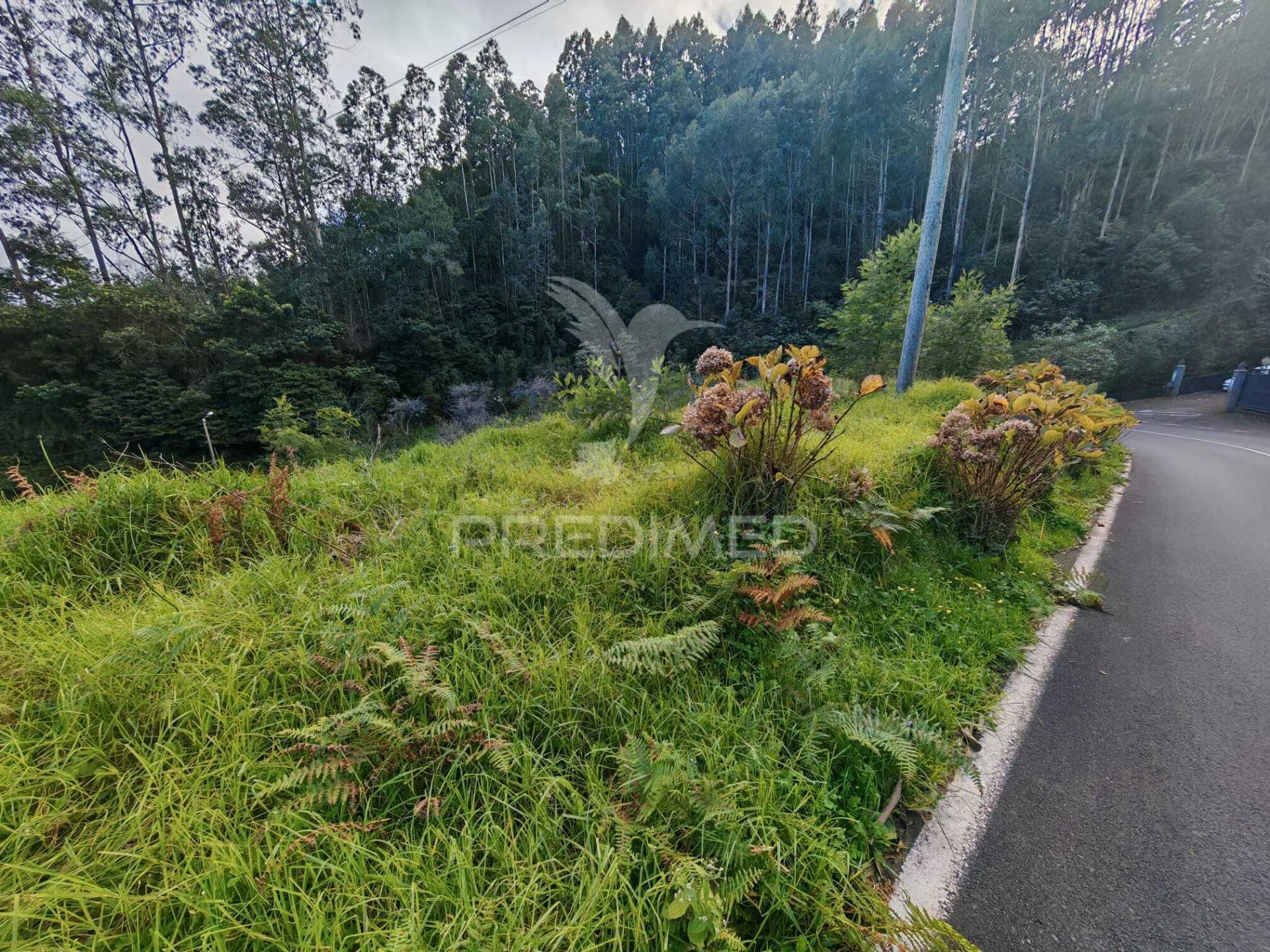 Terreno com 5.970 m² com potencial construtivo | ribeira de machico