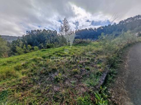 Terreno com 5.970 m² com potencial construtivo | ribeira de machico