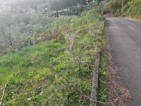 Terreno com 5.970 m² com potencial construtivo | ribeira de machico